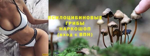 прущая мука Костерёво