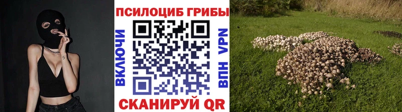 Псилоцибиновые грибы Psilocybe где продают наркотики Костомукша