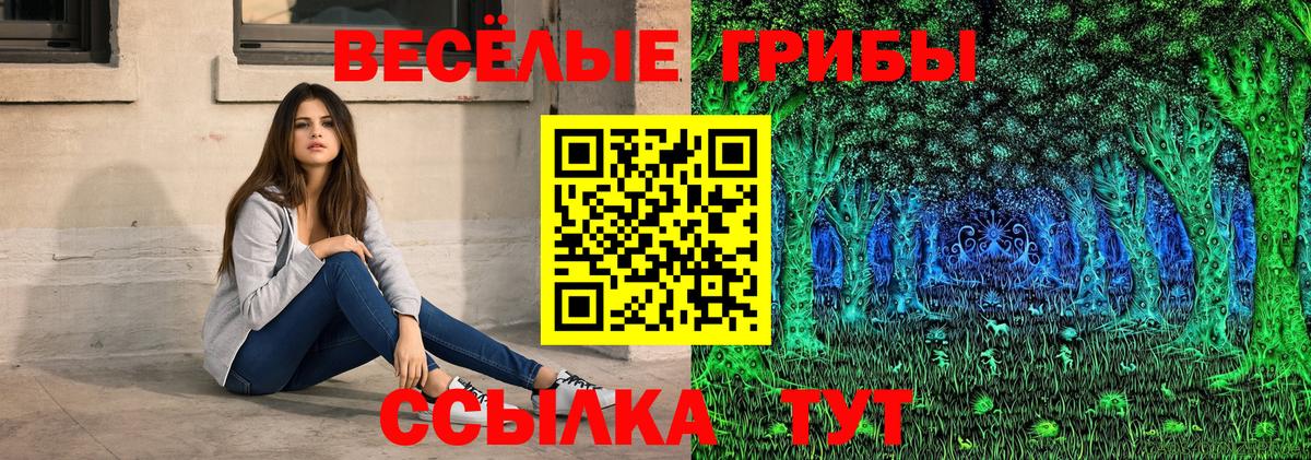 Псилоцибиновые грибы прущие грибы Костомукша