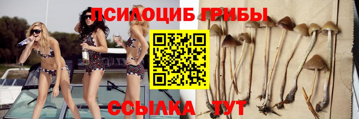Галлюциногенные грибы мицелий  Вход с VPN  Костомукша  Псилоцибиновые грибы мицелий 